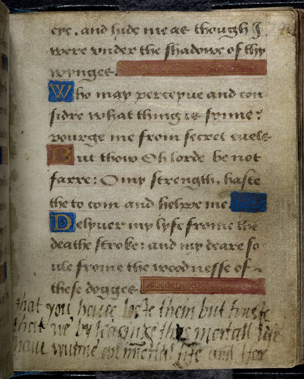 Harley 2342 f.79 نقش مكتوب على الهامش من السيدة جين جراي لأبيها ، دوق سوفولك ، من كتاب الصلاة لليدي جين غراي (ورق) بواسطة مدرسة اللغة الإنجليزية