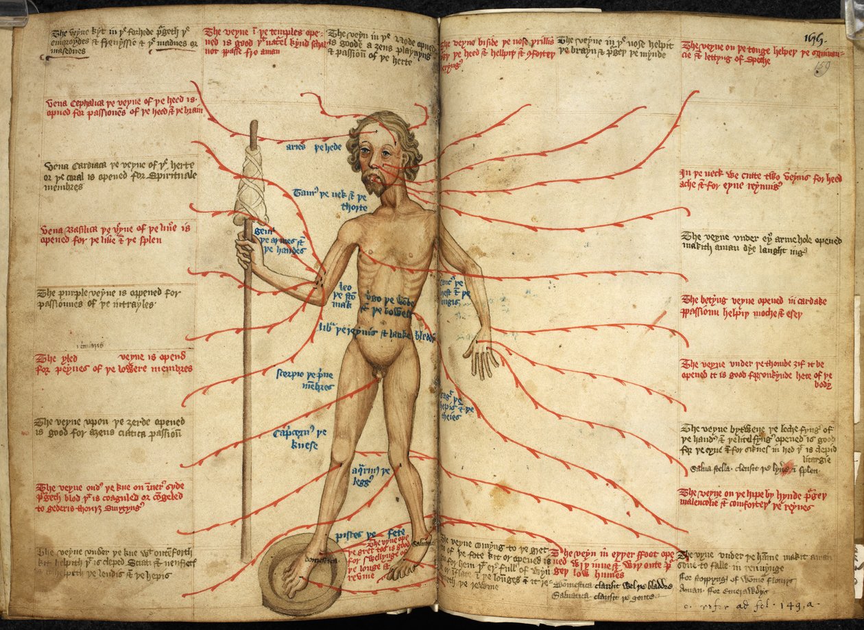 Harley 3719، ff.158v-159 صورة مصغرة لرجل سفك الدماء بقدم واحدة في وعاء نزيف ومغزل في يده ، رسم توضيحي من "منوعات بها نصوص فلكية وتقويمية وطبية وفلسفية مختلفة" بواسطة مدرسة اللغة الإنجليزية