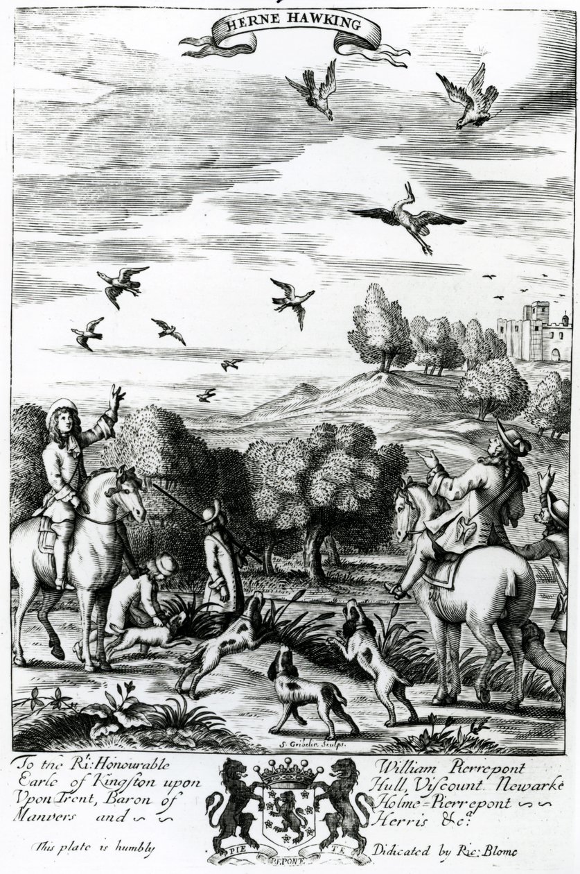 Herne hawking ، من "The Gentleman&39;s Recreation" نشره ريتشارد بلوم ، 1686 (النقش) بواسطة مدرسة اللغة الإنجليزية
