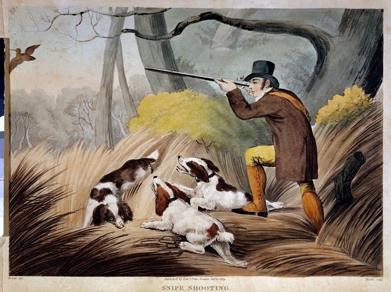 Hunting a beak in England. Watercolour engraving of the 19th century. Gien, hunting museum. بواسطة مدرسة اللغة الإنجليزية