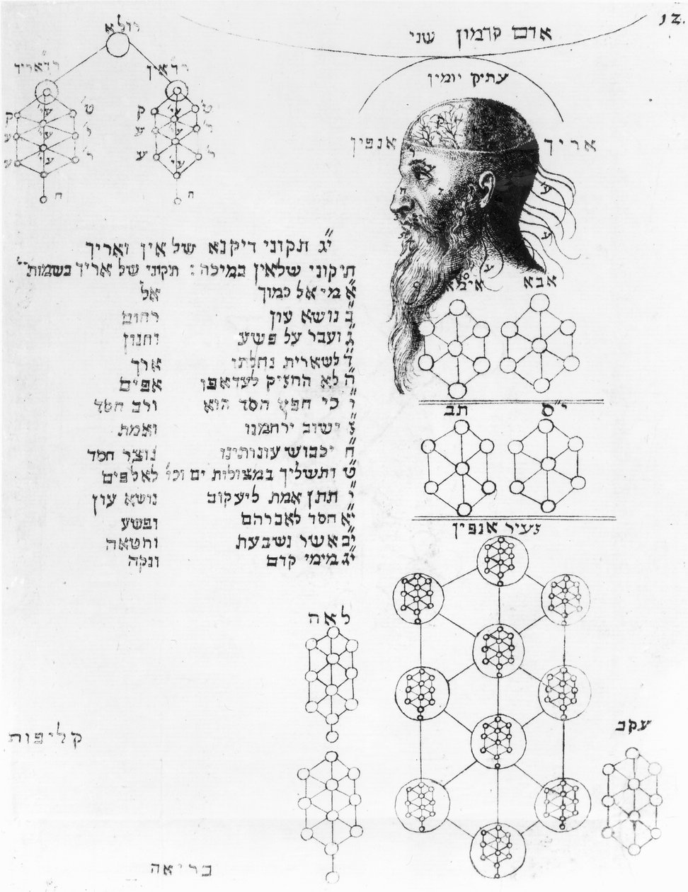 مخطوطة يهودية توضح الفرينولوجيا بواسطة مدرسة اللغة الإنجليزية