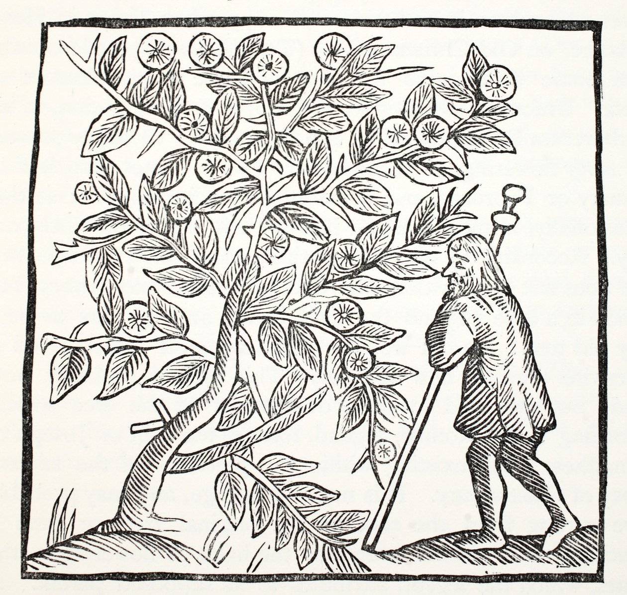 جوزيف من Arimathea و Glastonbury Thorn ، التوضيح من كتب الفصل الثاني عشر للكاتب جون أشتون ، حانة. 1882 بواسطة مدرسة اللغة الإنجليزية