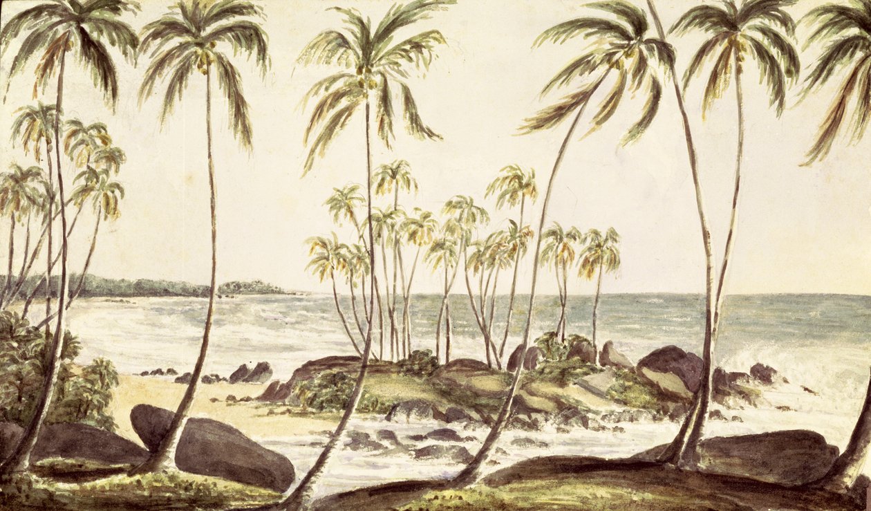 Kosgoda Beach ، سيلان ، c.1835 (مرحاض على ورق) بواسطة مدرسة اللغة الإنجليزية