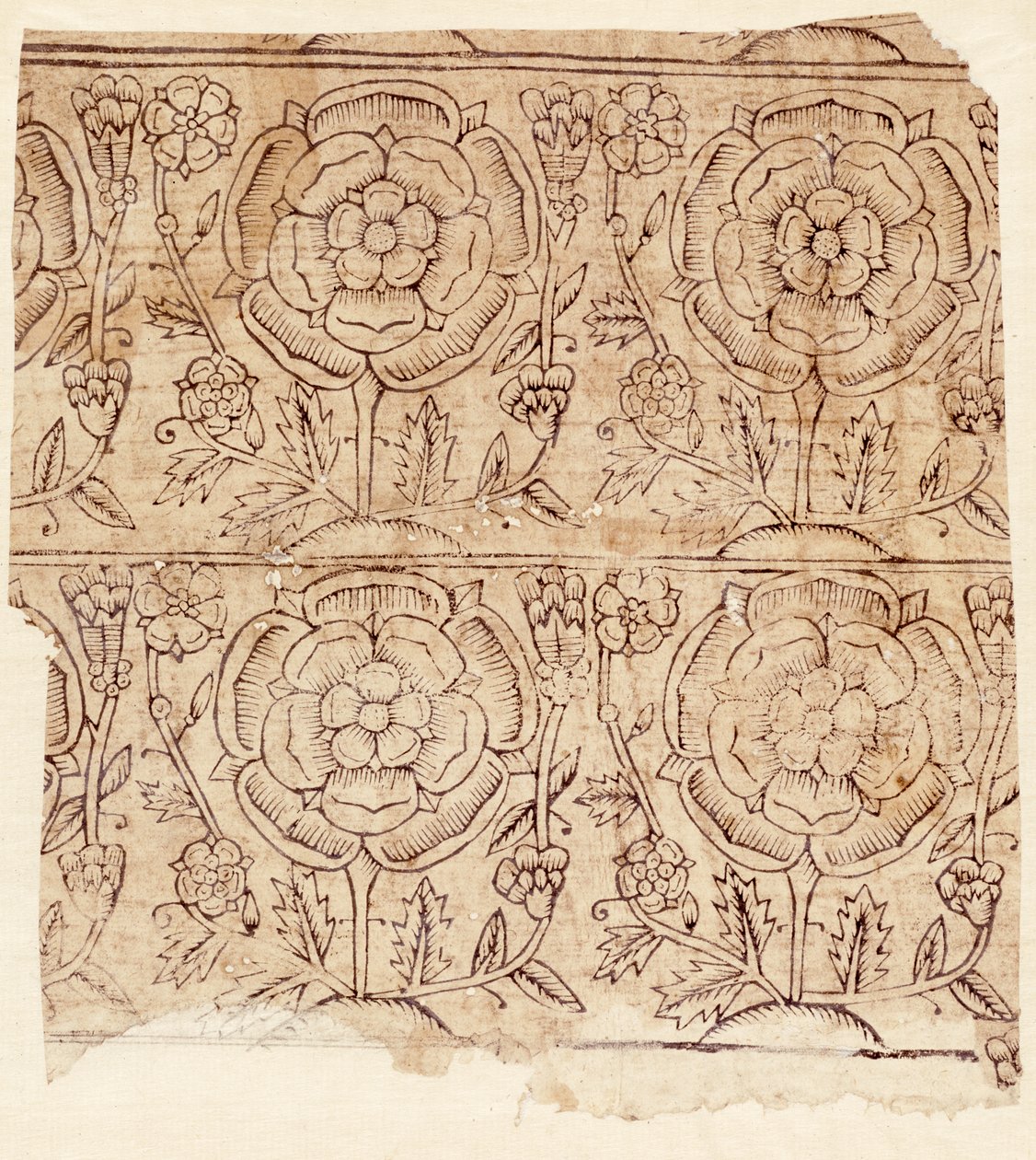 ورق بطانة بنمط تيودور روز ، c.1550 (طبعة خشبية) بواسطة مدرسة اللغة الإنجليزية