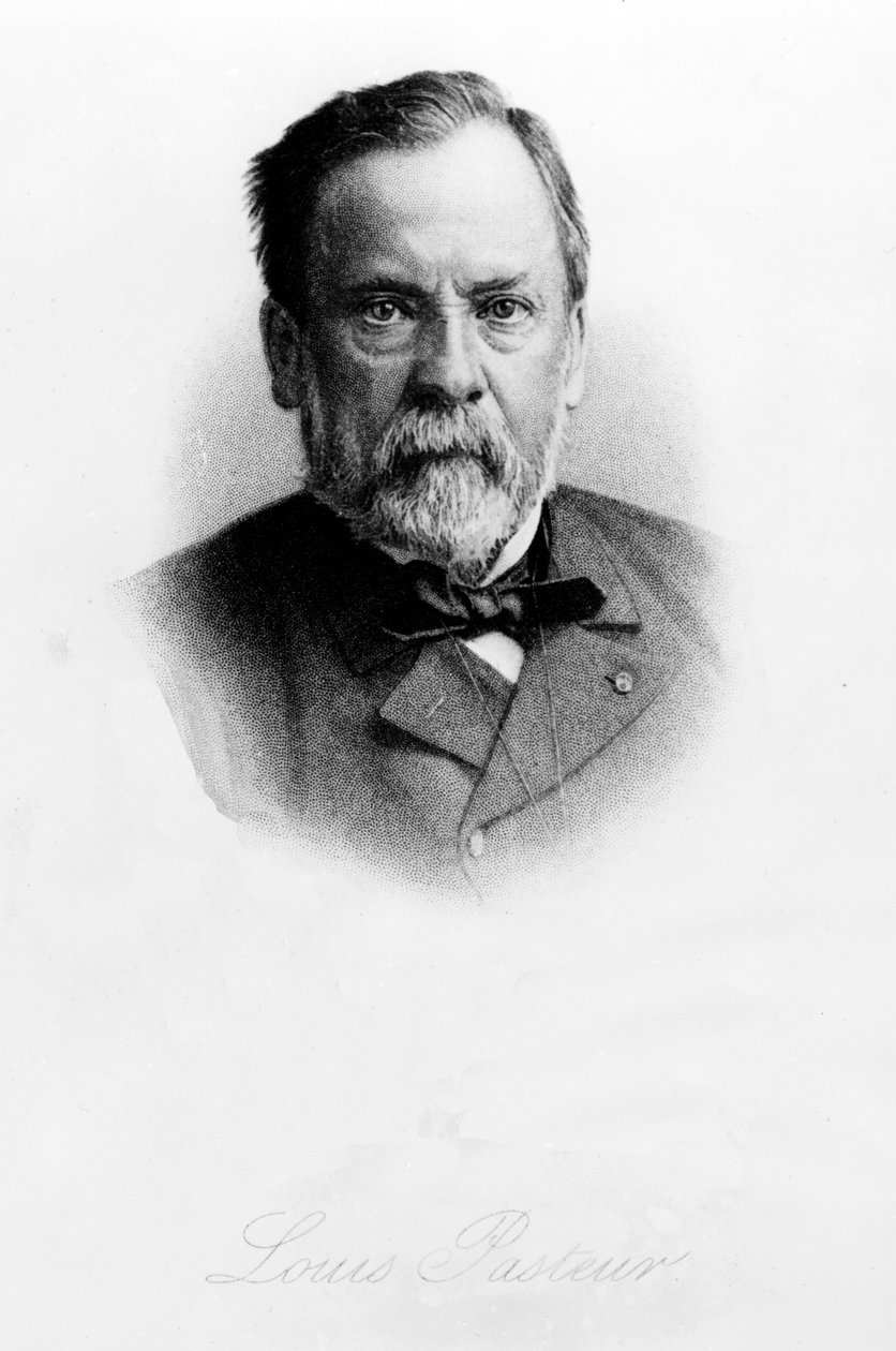 لويس باستور (1822-1895) بواسطة مدرسة اللغة الإنجليزية