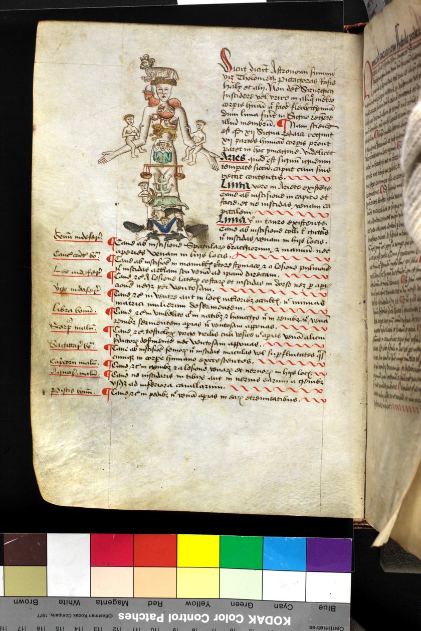 MS Hunter 251 f.47v ، رسم توضيحي لـ "رجل البروج" ، حوالي 1475-1500 (قلم وحبر وتمبرا على ورق) بواسطة مدرسة اللغة الإنجليزية