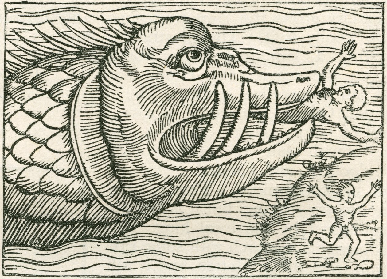 رجل تأكله حية البحر. تم العثور على رسم توضيحي على هامش خريطة أعدها Olaus Magnus بواسطة مدرسة اللغة الإنجليزية