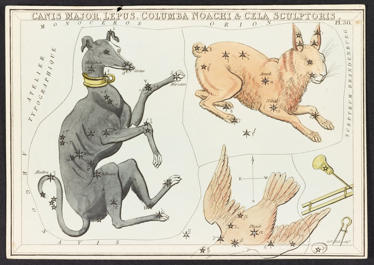 الخرائط C.44.A.42 Canis Major Lepus ، من مرآة Urania ؛ أو منظر السماء. [علبة بها ٣٢ بطاقة]. بقلم يهوشافاط أسبن بواسطة مدرسة اللغة الإنجليزية