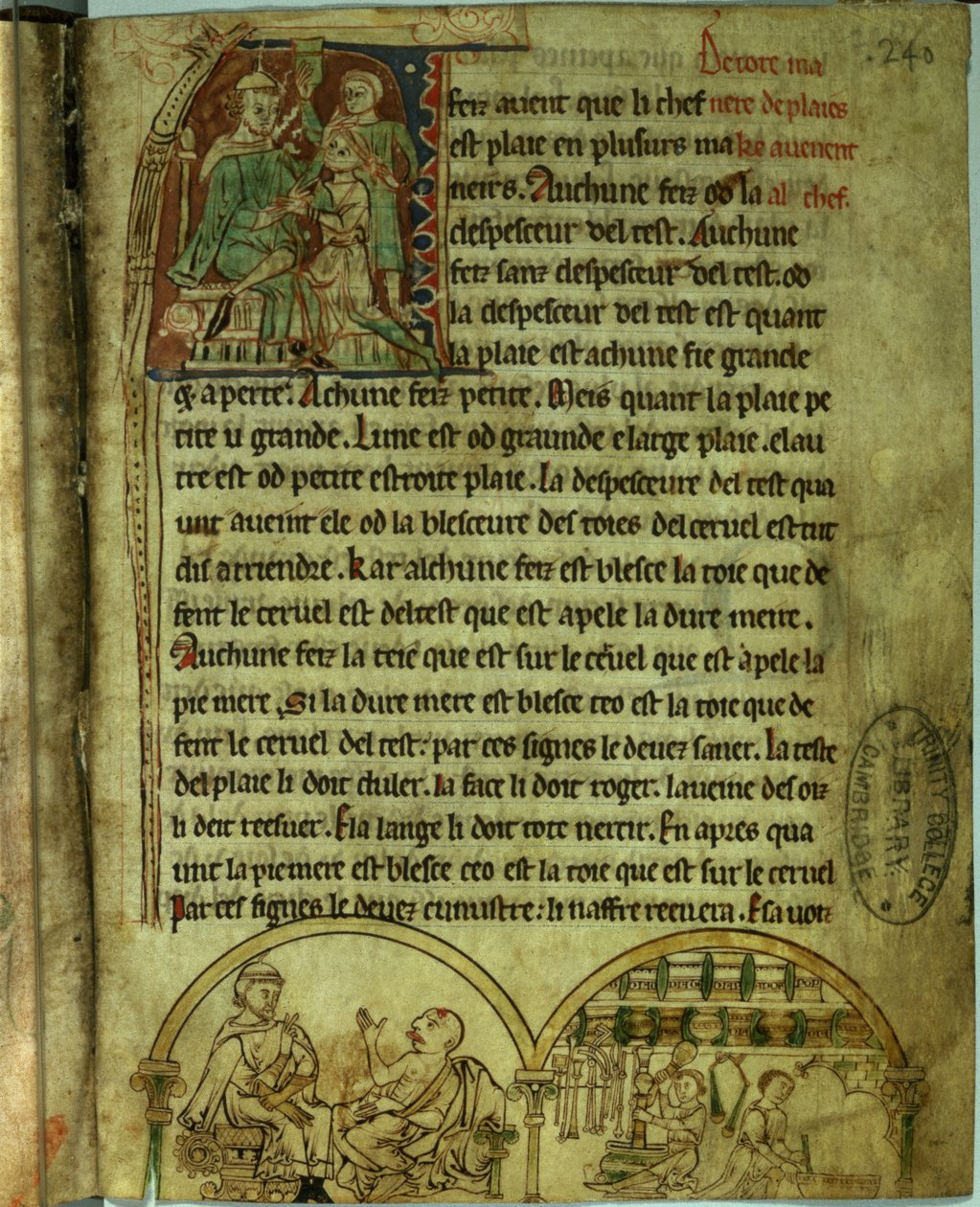 الآنسة O.1.20.f.241v جيروم: طبيب يزور مريضًا وصيادلة ، من De Nominibus Herbraicis (ورق) بواسطة مدرسة اللغة الإنجليزية