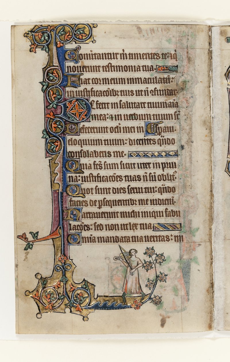 ms 1-2005، f.175v، from Macclesfield Psalter، Use of Sarum، East Anglia، c.1330 (قلم حبر وحبر وتمبرا على ورق) بواسطة مدرسة اللغة الإنجليزية