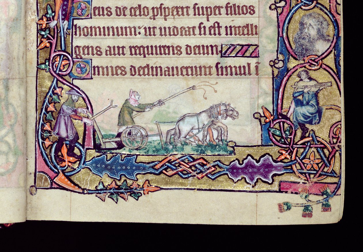 Ms 1-2005 ، صص. 76v-77r: ديفيد والأحمق ، مؤرخ بالأحرف الأولى من Macclesfield Psalter ، Use of Sarum ، East Anglia ، c.1330 (رق) (تفاصيل 276994) بواسطة مدرسة اللغة الإنجليزية