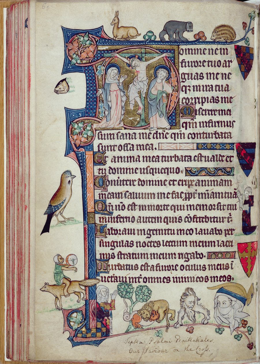 السيدة 242 f.55v الصلب ، من ساعات Packham-Clifford ، استخدام Sarum ، c.1314-31 (أوراق الذهب و درجة الحرارة على الرق) بواسطة مدرسة اللغة الإنجليزية