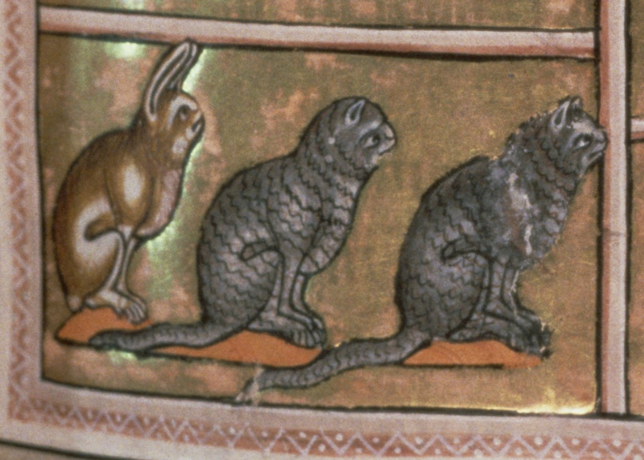 السيدة 24 و 5 ، قام آدم بتسمية الحيوانات ، من شمال ميدلاندز الأصل ، من Aberdeen Bestiary (رق) (التفاصيل 52593) بواسطة مدرسة اللغة الإنجليزية