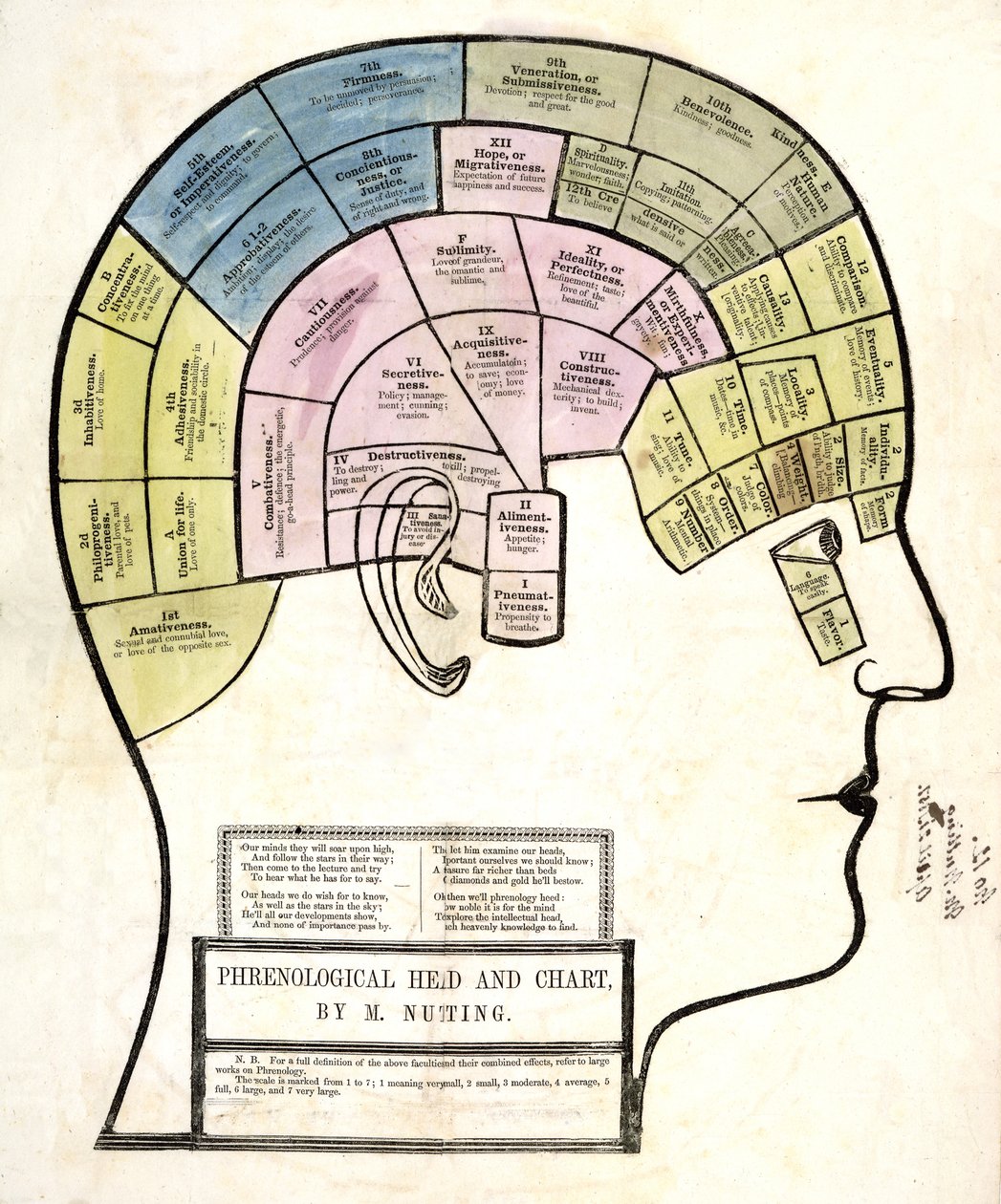 رأس Phrenological والرسم البياني ، حانة. 1857 (لون ليثو) بواسطة مدرسة اللغة الإنجليزية