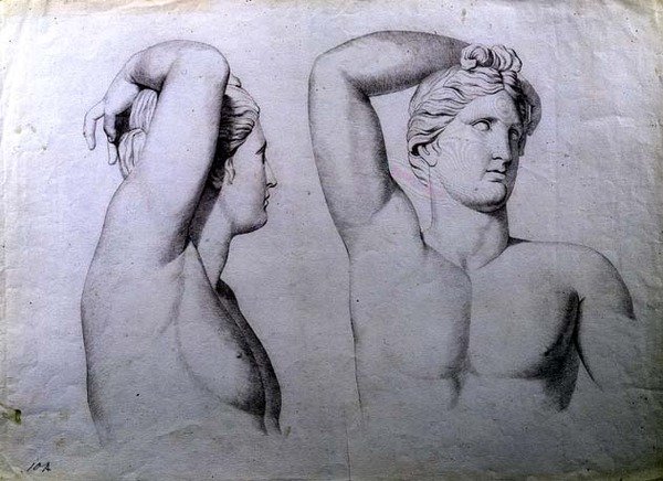 صورة تماثيل نصفية للعراة ، 1780 (طباشير على ورق) بواسطة مدرسة اللغة الإنجليزية