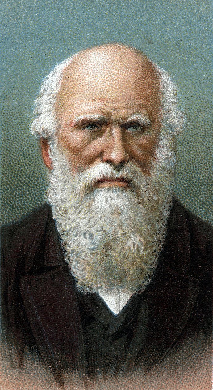 صورة تشارلز روبرت داروين (1809-1882) - من سلسلة "قادة الرجال" - الطباعة الحجرية الملونة - المدرسة الإنجليزية ، القرن العشرين - بواسطة مدرسة اللغة الإنجليزية