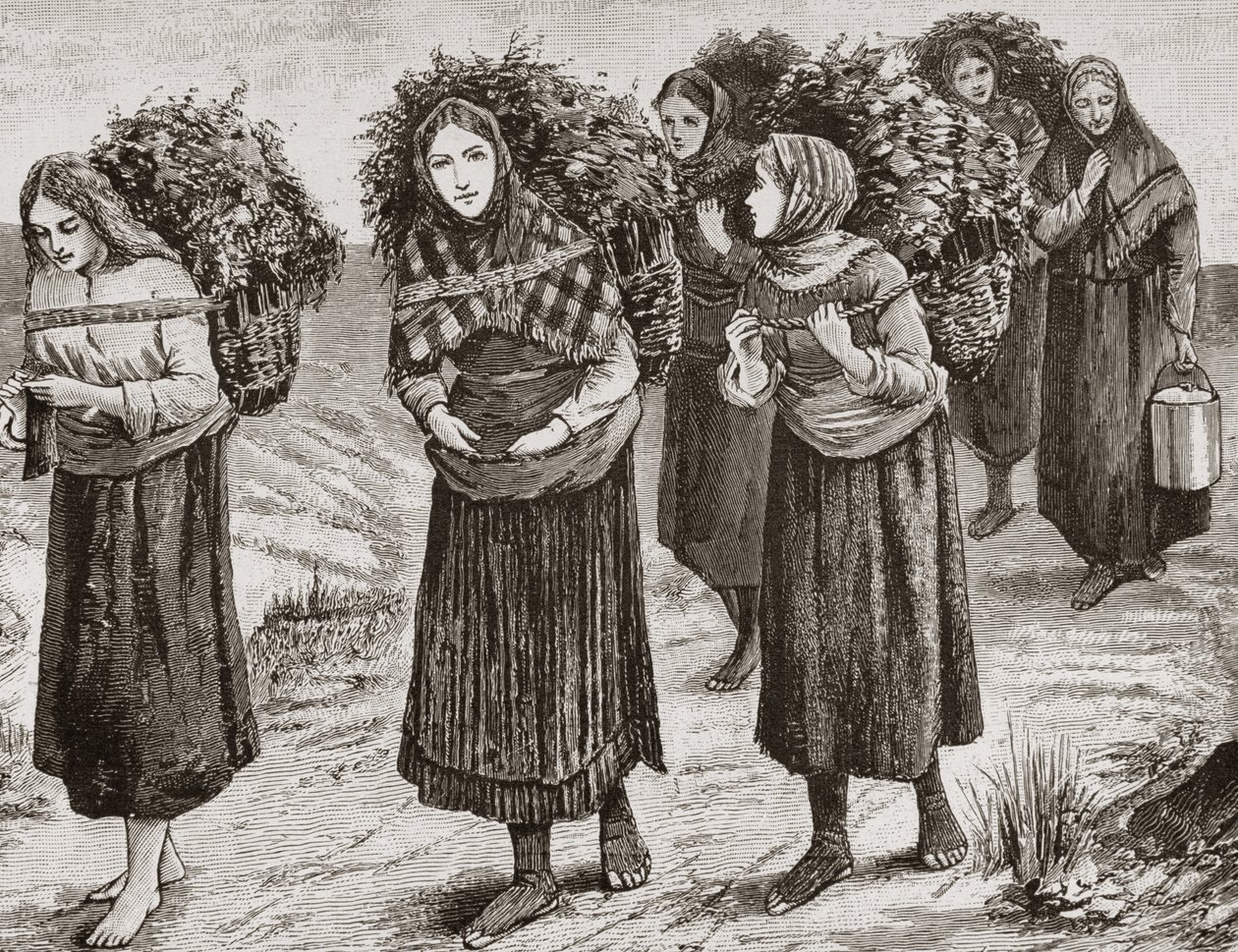 العودة من شيلينج ، هيبرايدس في عام 1880 ، من "الصور الاسكتلندية" التي نشرتها جمعية المسالك الدينية ، 1886 بواسطة مدرسة اللغة الإنجليزية