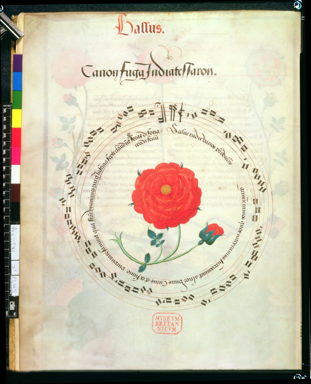 Roy II E XI f.2v Canon ، مع عصي دائرية ووردة في المنتصف ، من Motets لريتشارد سامبسون (رق) بواسطة مدرسة اللغة الإنجليزية