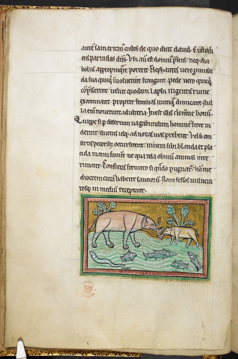 Royal 12 F.XIII، f.13v فيل كبير وآخر صغير في جدول مليء بالأسماك.  بستاري (صص. ٣-١٤١) ، لابيداري (صص. ١٤١ ظ - ١٤٩)  الربع الثاني من القرن الثالث عشر بواسطة مدرسة اللغة الإنجليزية