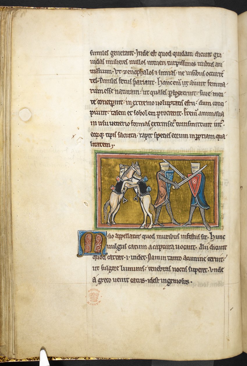 Royal 12 F.XIII، f.42v فارسان يتقاتلان بالسيوف على الأقدام ، بينما تتقاتل خيولهما على رجليهما الخلفيتين. من بستاري (صص. ٣-١٤١) ، لابيداري (صص. ١٤١ ظ - ١٤٩)  ، الربع الثاني من القرن الثالث عشر (ورق) بواسطة مدرسة اللغة الإنجليزية