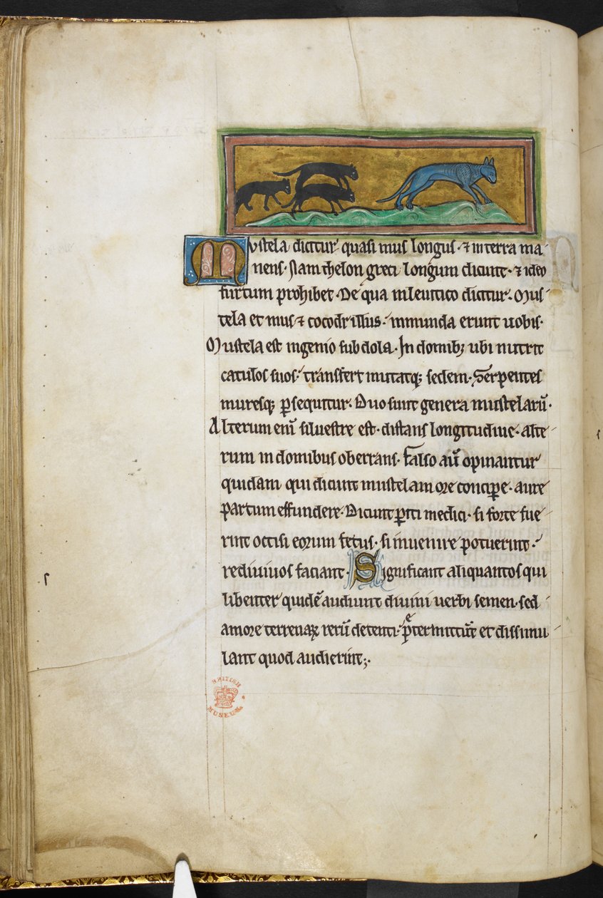 Royal 12 F.XIII ، ص .43 ص فئران تطارد قطة ، من بيستاري (صص. ٣-١٤١) ، لابيداري (صص. ١٤١ ظ - ١٤٩)  ، الربع الثاني من القرن الثالث عشر (ورق) بواسطة مدرسة اللغة الإنجليزية