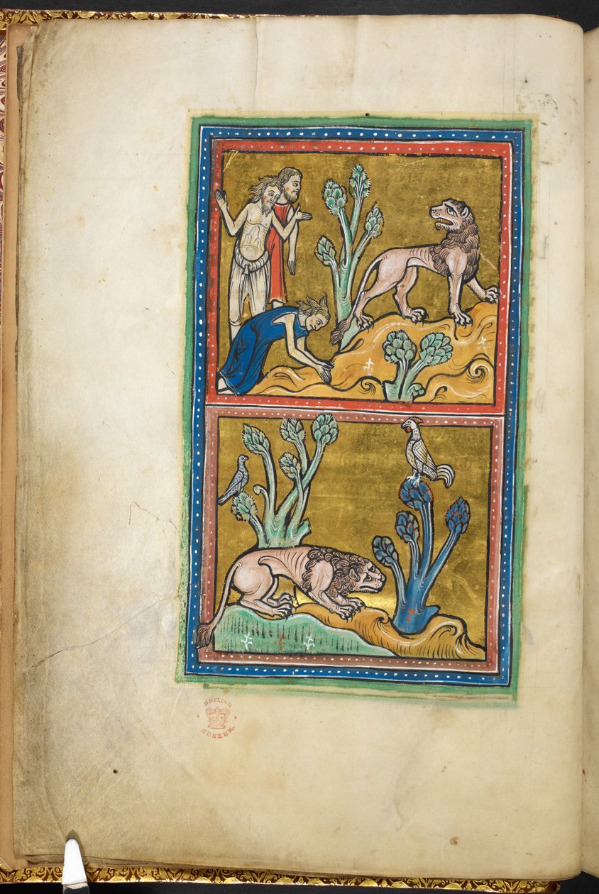 Royal 12 F.XIII، f.5v في الأعلى: ثلاثة رجال ، أحدهم ينحني لأسد. أدناه: أسد جاثم عند سفح شجرة وديك يجلس فوقها.  من بستاري (صص. ٣-١٤١) ، لابيداري (صص. ١٤١ ظ - ١٤٩)  الربع الثاني من القرن الثالث عشر بواسطة مدرسة اللغة الإنجليزية