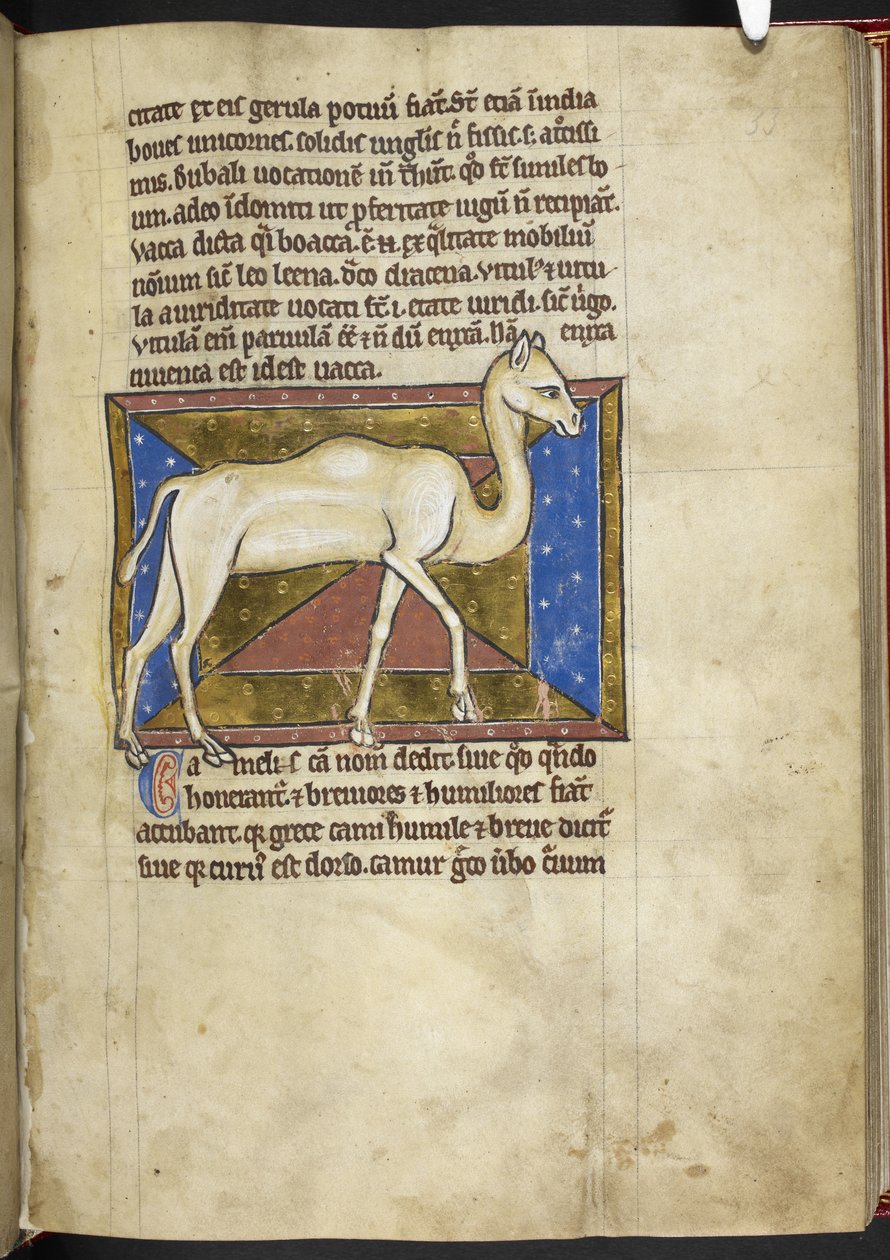 Royal MS 12 C XIX، f.33r Camel، from 
