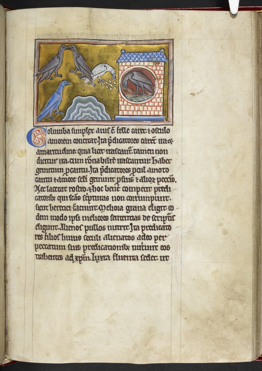 Royal MS 12 C XIX f.54r Doves، from 