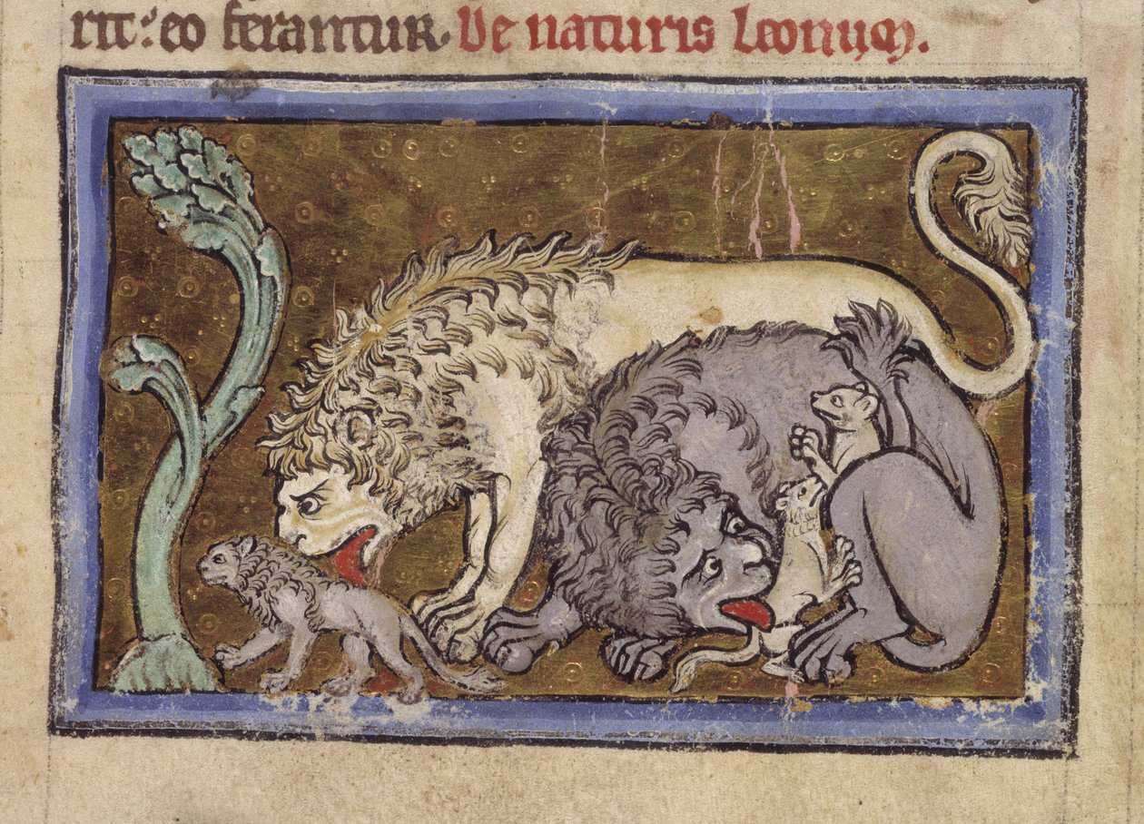 Royal MS 12 C XIX ، f.6r Lions ، من 