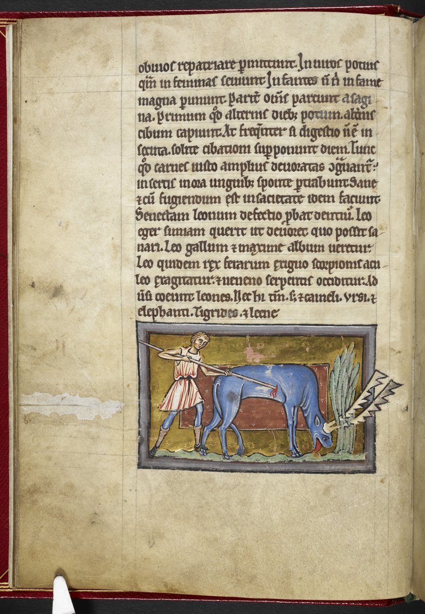 Royal MS 12 C XIX، f.7v Antelope، from 