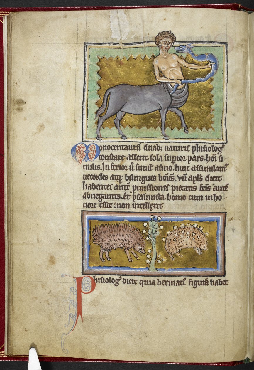 Royal MS 12 C XIX ، f.8v Centaur ، من 