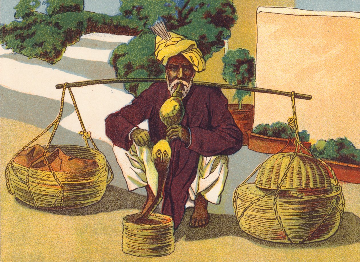 ساحر الثعابين، الهند (طباعة حجرية ملونة) بواسطة مدرسة اللغة الإنجليزية