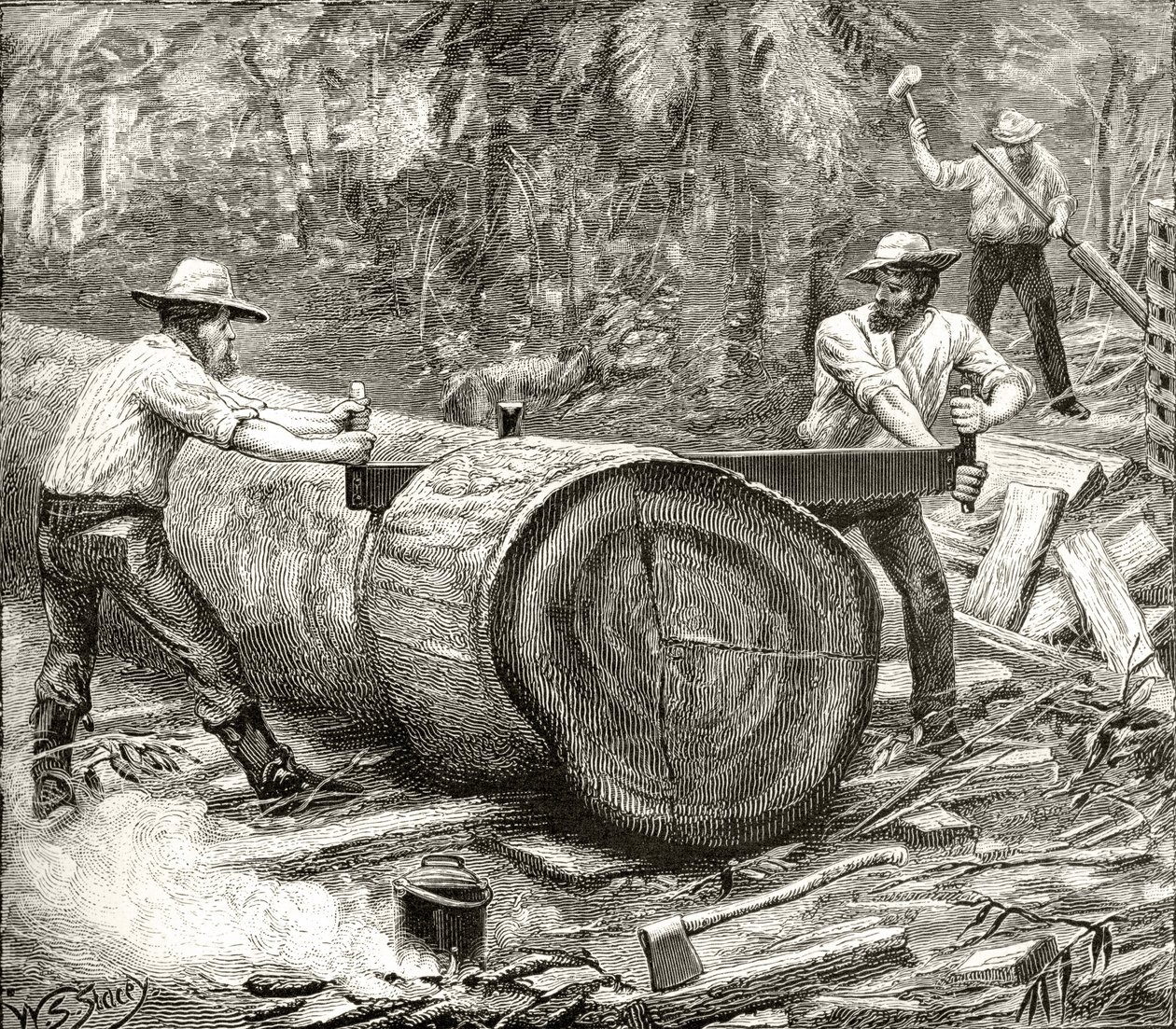 الخطان في بوش ، 1880 ، من "الصور الأسترالية" بقلم هوارد ويلوبي ، نشرته جمعية المسالك الدينية ، لندن ، 1886 بواسطة مدرسة اللغة الإنجليزية