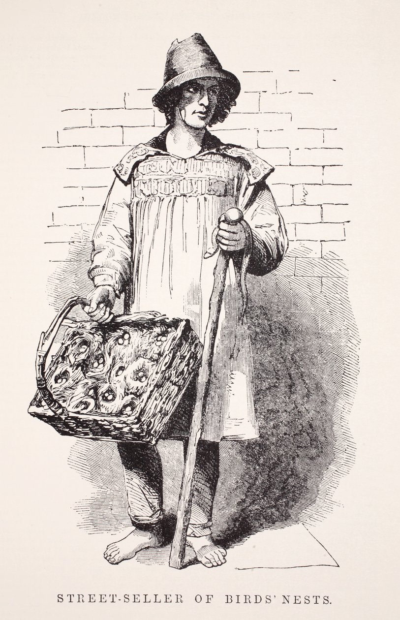 بائع أعشاش الطيور في الشارع ، رسم توضيحي من London Labour و London Poor بقلم Henry Mayhew ، حانة. 1862 بواسطة مدرسة اللغة الإنجليزية