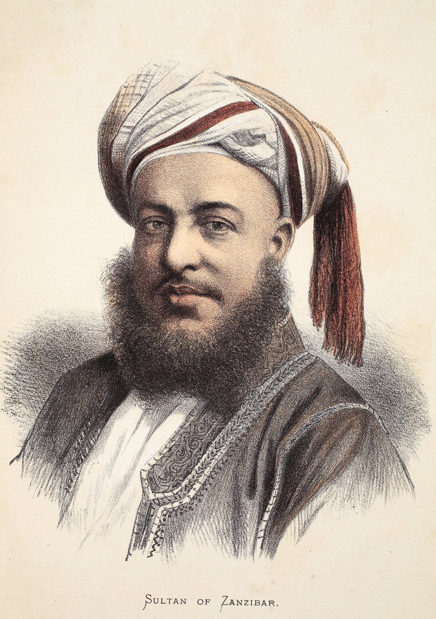 سلطان زنجبار ، رسم توضيحي من الطبعة المصورة لحياة واكتشافات ديفيد ليفينغستون بقلم ج.إوينج ريتشي ، حانة. بقلم أ. فولارتون وشركاه ، 1876 بواسطة مدرسة اللغة الإنجليزية