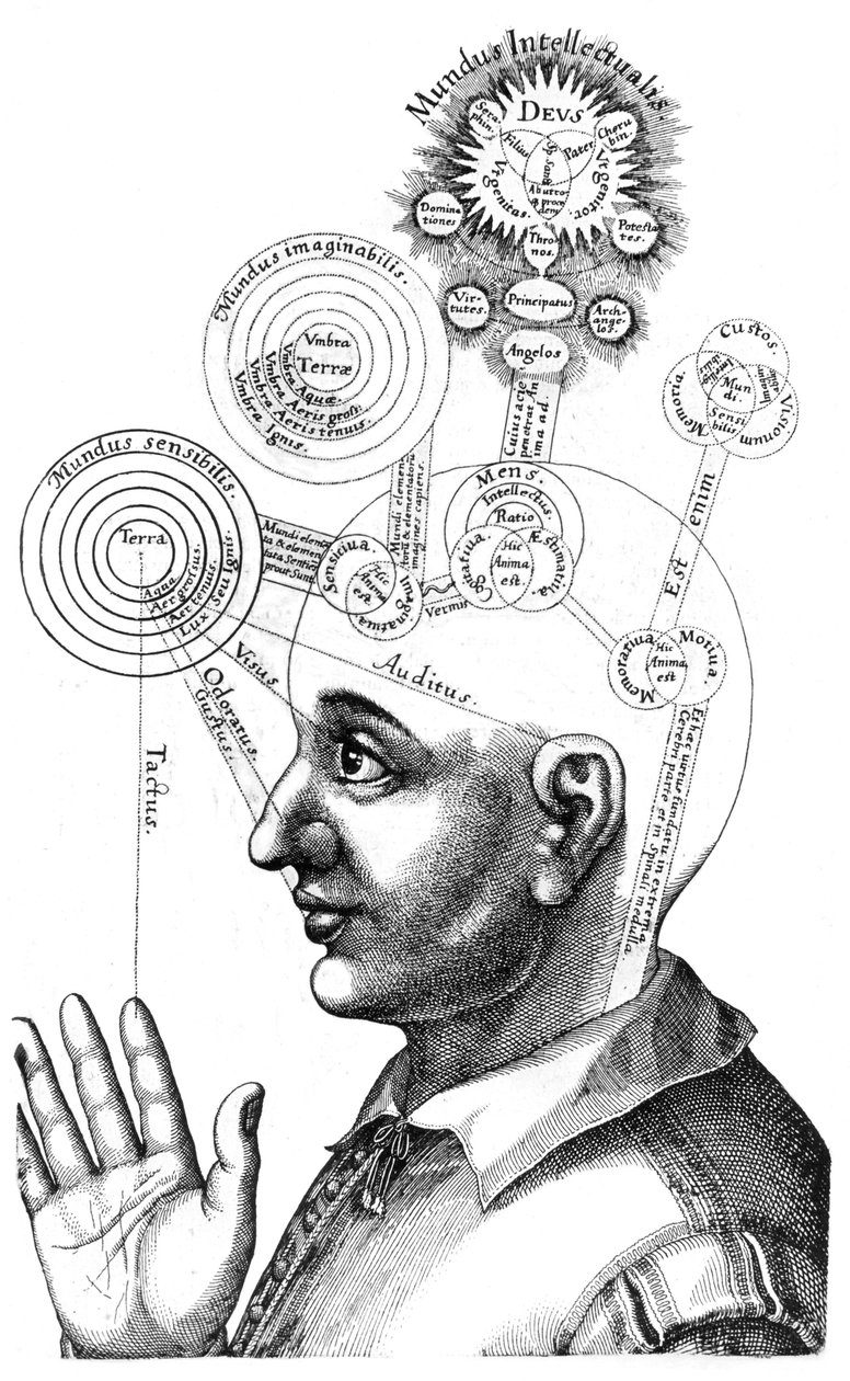 التحليل الكبالي للعقل والحواس بواسطة مدرسة اللغة الإنجليزية