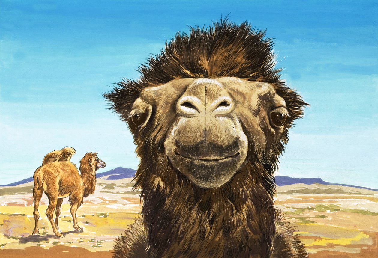  بواسطة مدرسة اللغة الإنجليزية