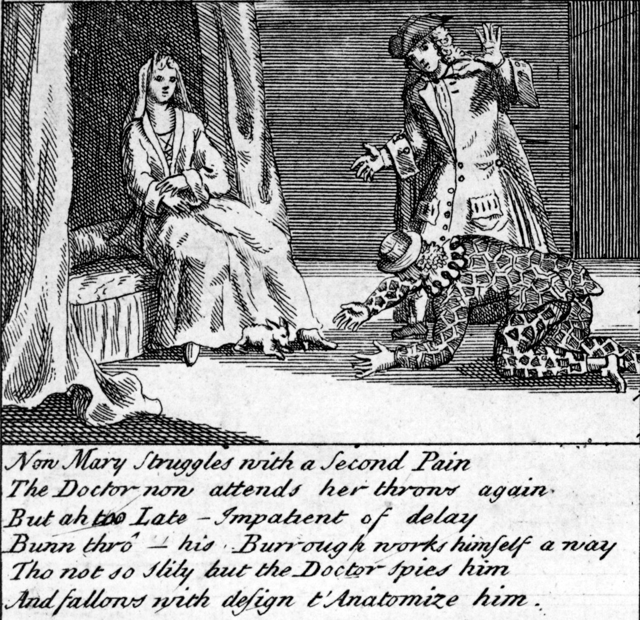 دكتور في العمل ، أو Whim Wham من Guildford ، c.1726 بواسطة مدرسة اللغة الإنجليزية