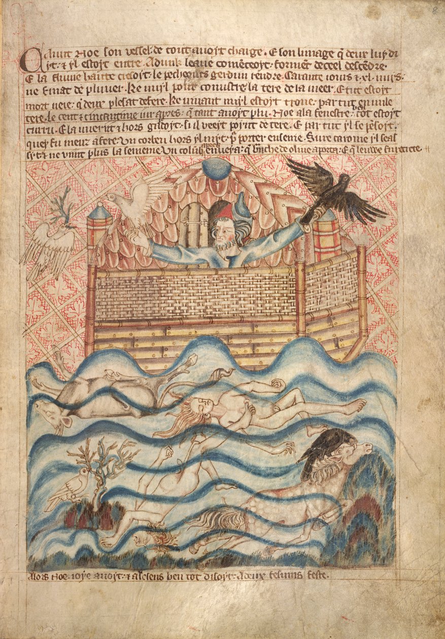 الحمامة والغراب ، من "الكتاب المصور للكتاب المقدس هولكام" ، ج 1320 - 30 (ألوان مائية على الورق) بواسطة مدرسة اللغة الإنجليزية
