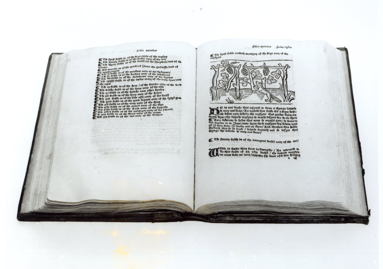 الثعلب والعنب ، من ترجمة مصورة لخرافات إيسوبس بواسطة ويليام كاكستون (c.1422-91) 1434 بواسطة مدرسة اللغة الإنجليزية