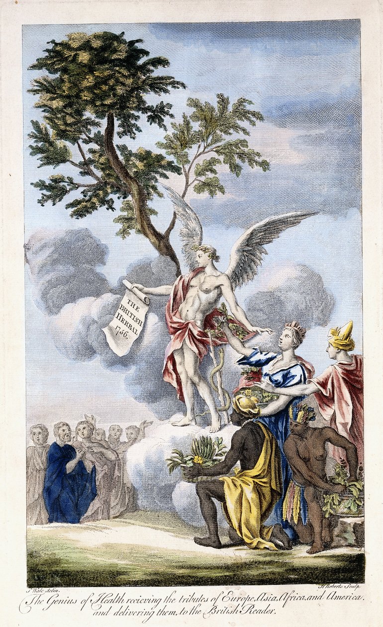 عبقرية الصحة تستقبل أوروبا وآسيا وإفريقيا وأمريكا وتسليمها للقارئ البريطاني 1756-1757 بواسطة مدرسة اللغة الإنجليزية