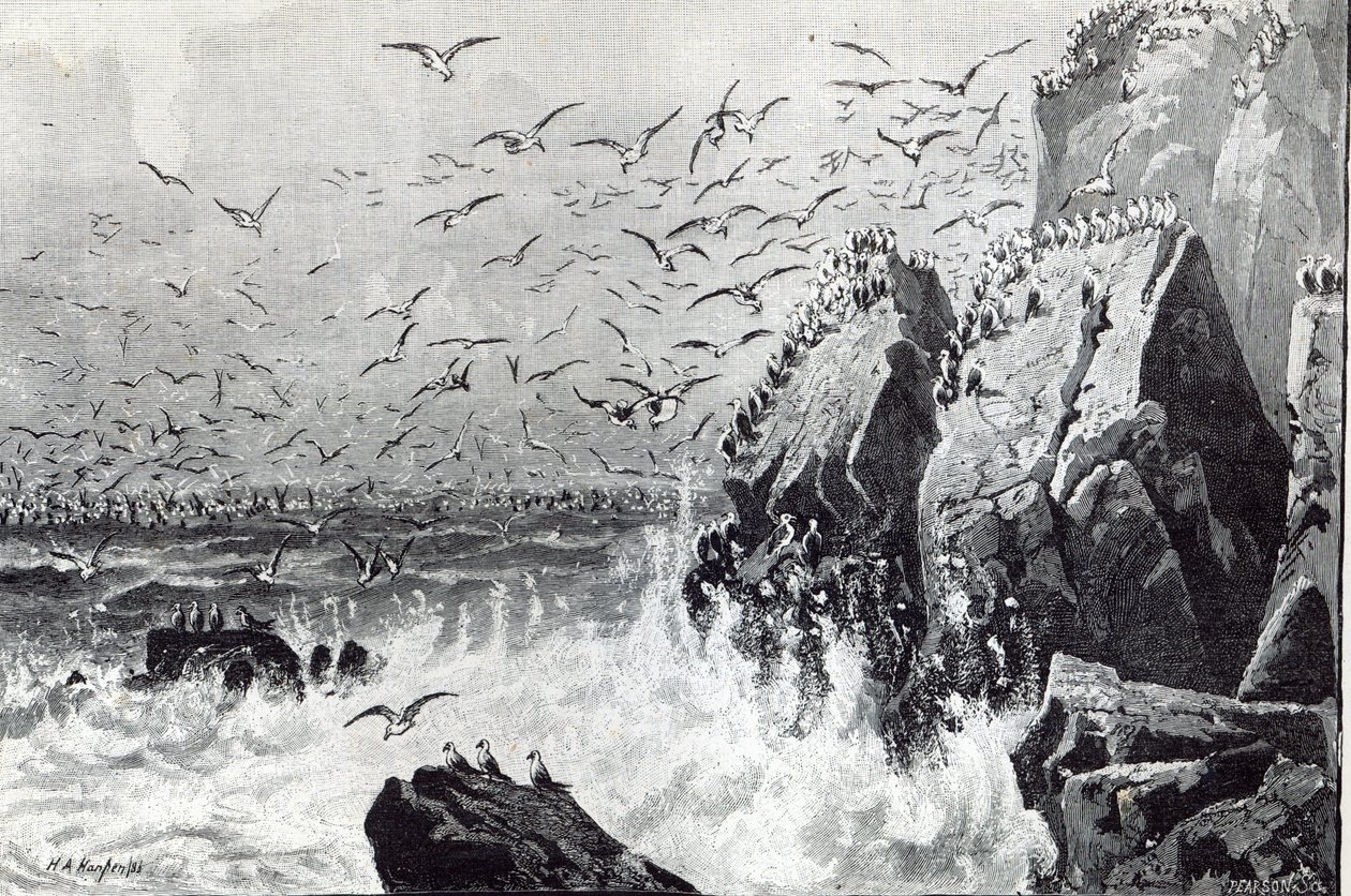مطاردة النوارس ، من "وقت الفراغ" ، 1888 بواسطة مدرسة اللغة الإنجليزية