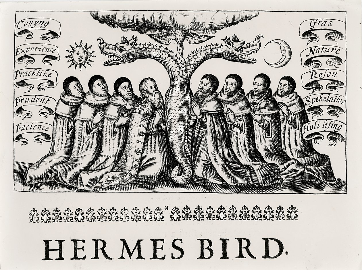 The Hermes Bird ، من Theatrum Chemicum ، 1652 بواسطة مدرسة اللغة الإنجليزية