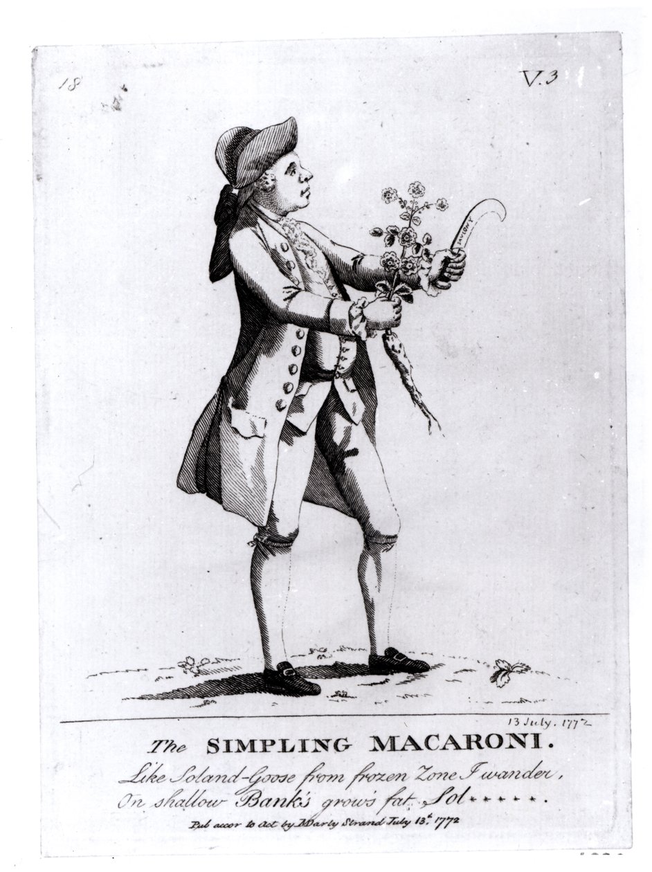 The Simpling Macaroni ، حانة. بواسطة N. Darly ، 13 يوليو 1772 (النقش) (صور من وزن الجسم) بواسطة مدرسة اللغة الإنجليزية