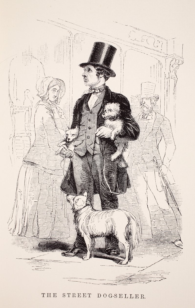 The Street Dog-Seller ، توضيح من London Labour و London Poor بقلم Henry Mayhew ، حانة. 1862 بواسطة مدرسة اللغة الإنجليزية