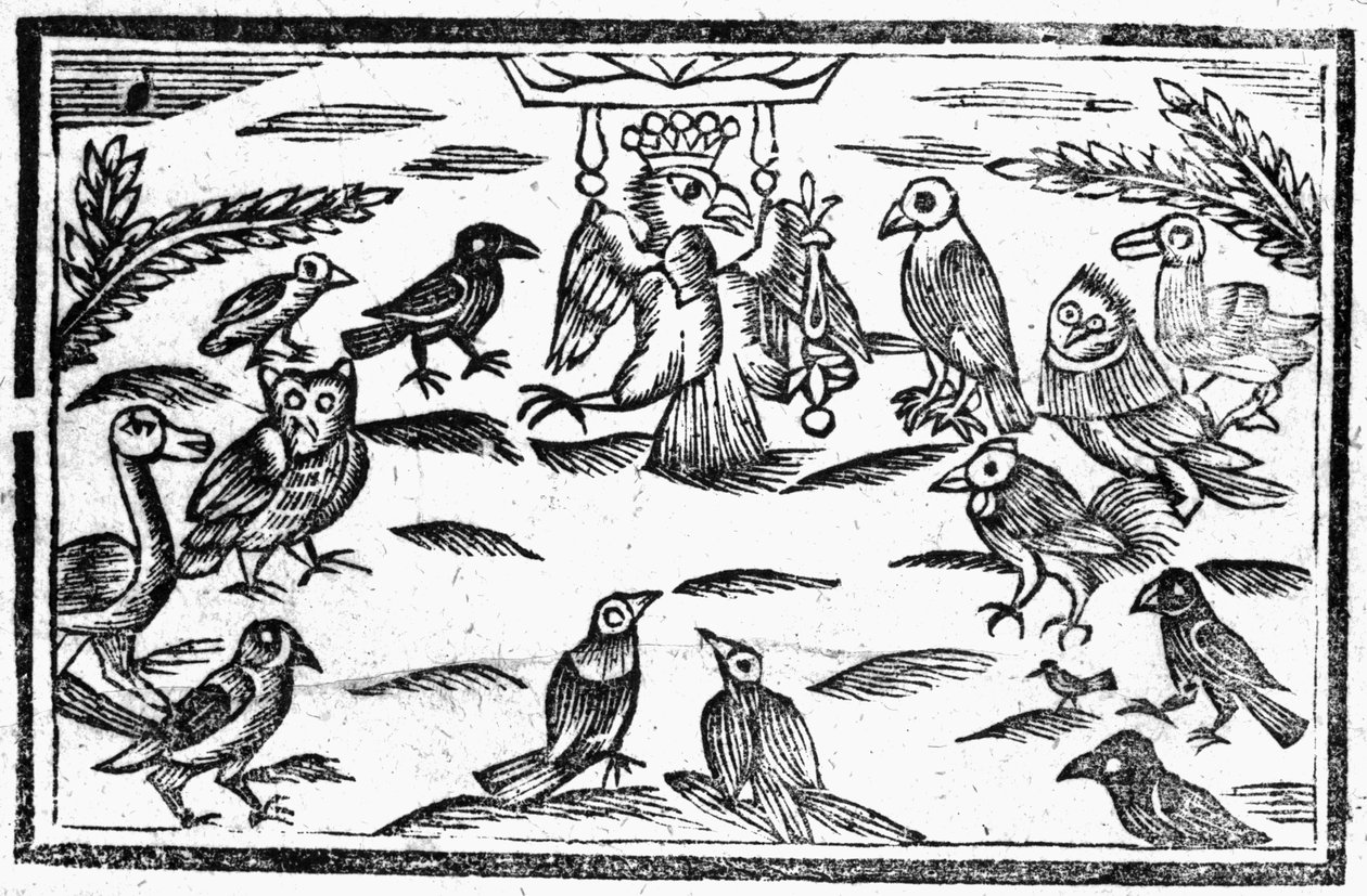 The Woody Choristers أو The Birds Harmony ، رسم توضيحي من "كتاب Roxburghe Ballads" بواسطة مدرسة اللغة الإنجليزية