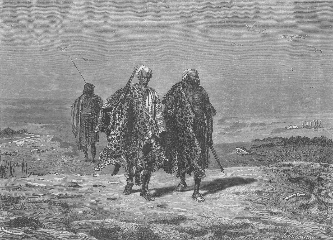 الصحراء بالقرب من سيوت بواسطة مدرسة اللغة الإنجليزية