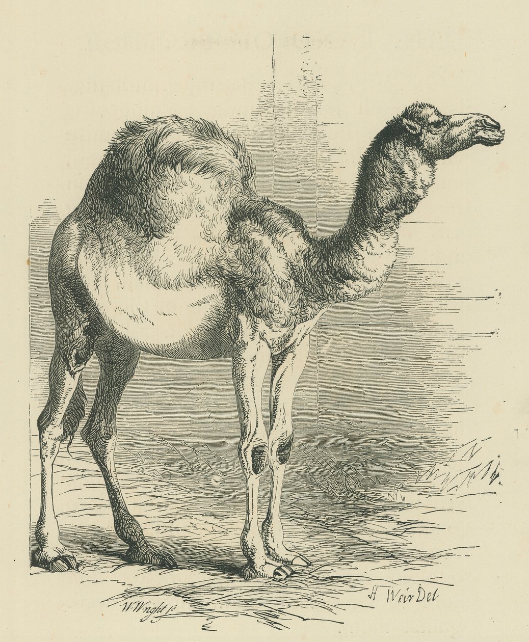  بواسطة مدرسة اللغة الإنجليزية