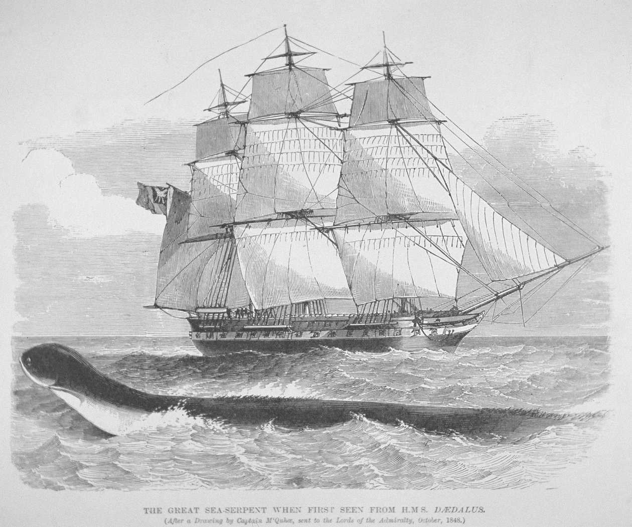 ثعبان البحر العظيم عندما شوهد لأول مرة من HMS Daedalus في عام 1848 ، حوالي 1848 (نقش) بواسطة مدرسة اللغة الإنجليزية