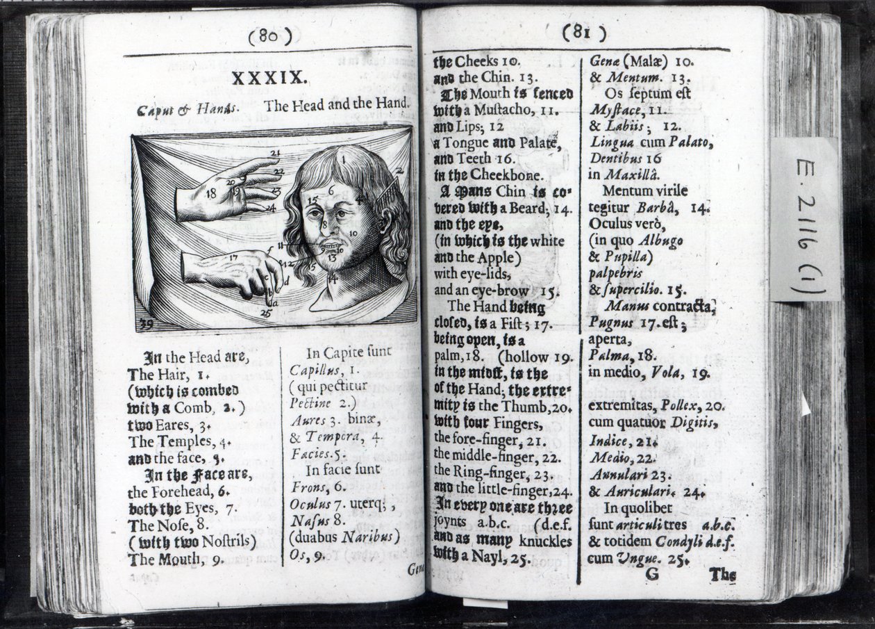 صفحتان من World Sensualium Pictus Comenius ، 1659 بواسطة مدرسة اللغة الإنجليزية